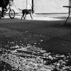 Dominici Raul - Broken Glass Harlem NY